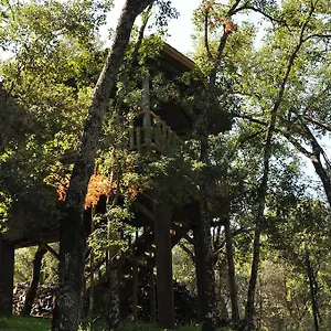 Nidos De Santa Maria Arroyo Frío